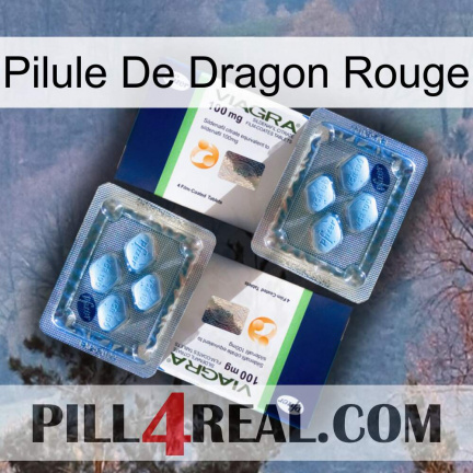 Red Dragon Pill viagra5